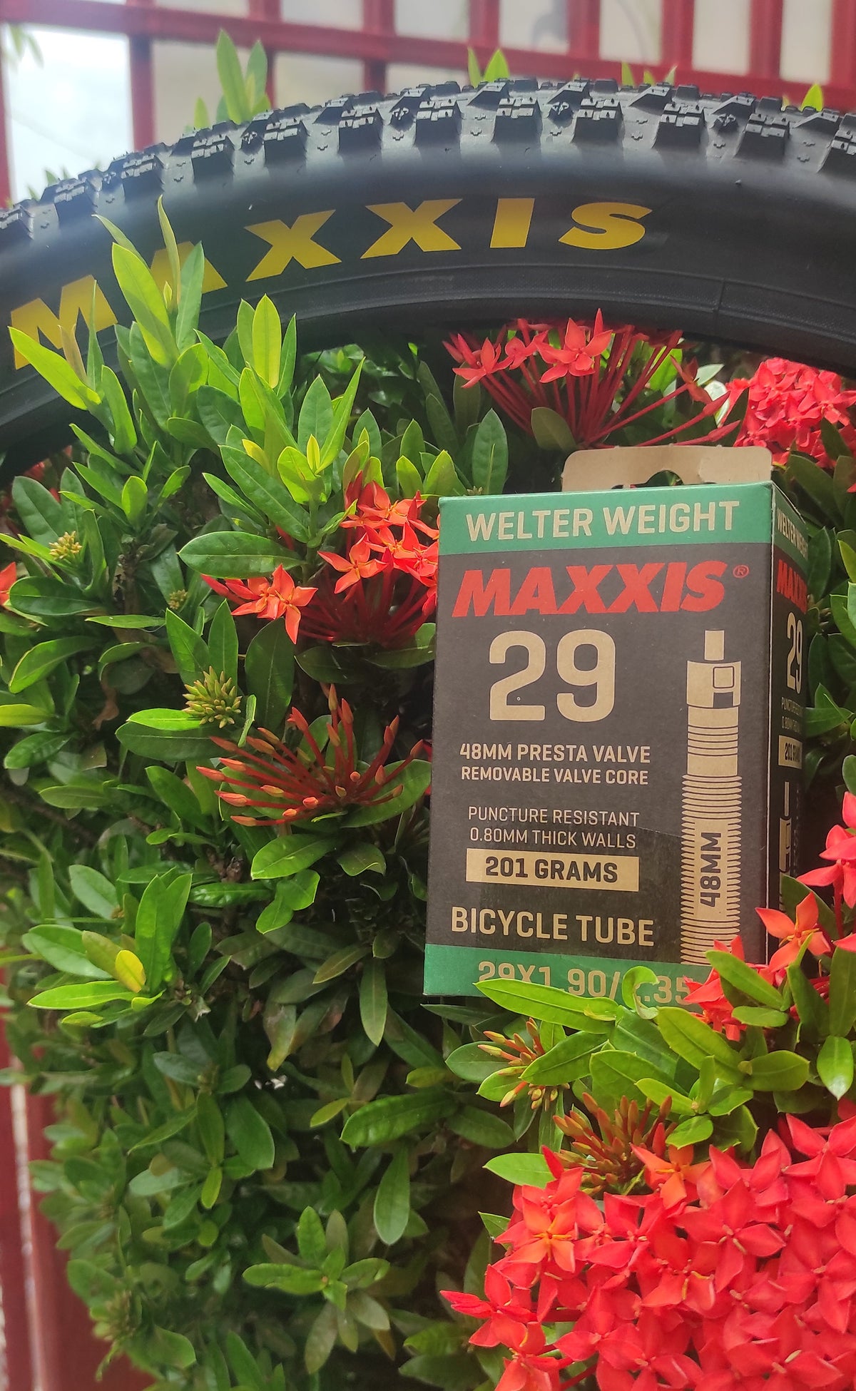 Neomatico maxxis 29